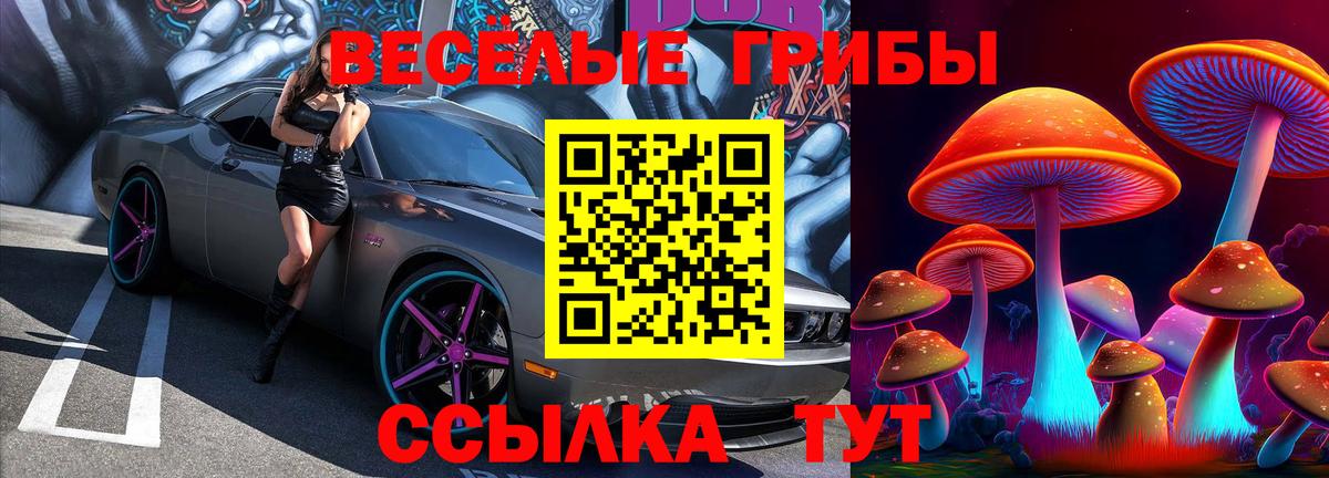Codein Осинники
